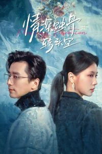 情深蚀骨转头空&在荆棘中绚烂(30集)梅洋&徐漫宁-免费短剧