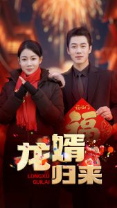 龙婿归来（27集）-免费短剧