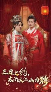 三日之约太子以江山为聘(30集)徐涵琳-免费短剧