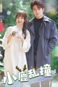 小鹿乱撞（40集）-免费短剧