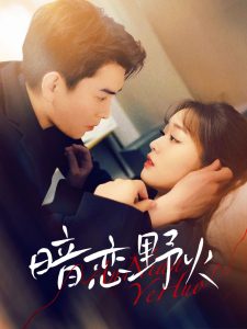 暗恋野火（75集）石佳＆吴佳璐-免费短剧