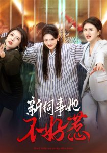 新同事她不好惹(37集)常丹丹&钟莹玲-免费短剧
