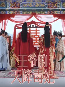 王爷的天降毒妃（73集）樊纾宁-免费短剧