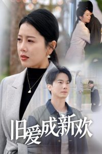 旧爱成新欢(30集)丁海霞-免费短剧