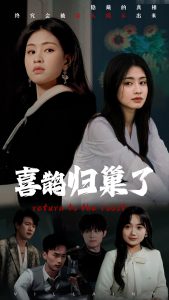 喜鹊归巢了（60集）朱小雪-免费短剧