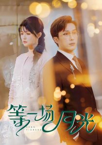 等一场月光(57集)叶庭&呆呆儿-免费短剧