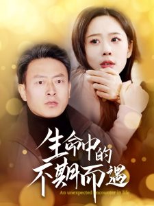 生命中的不期而遇(35集)-免费短剧