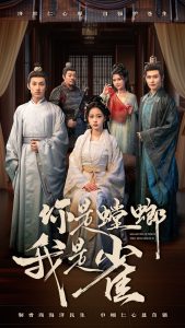 你是螳螂我是雀（41集）-免费短剧