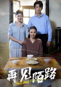 再见陌路(39集)-免费短剧