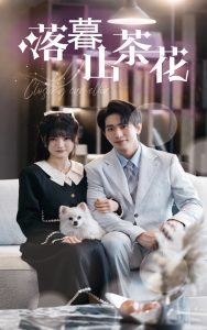 落幕山茶花(50集)王浩翔&王煜可晴-免费短剧