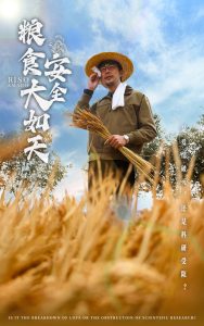 粮食安全大如天（43集）程娜-免费短剧