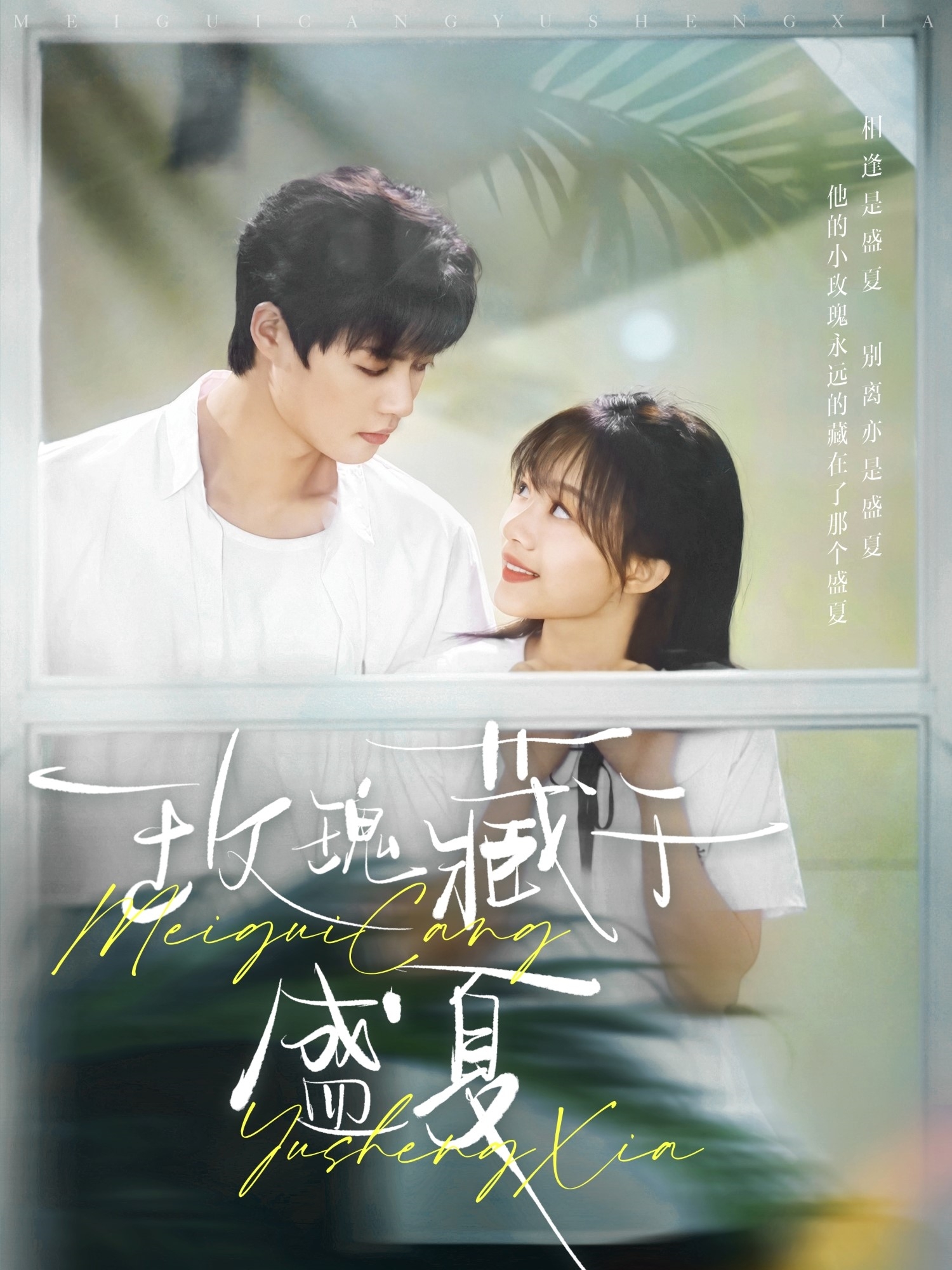 玫瑰藏于盛夏（88集）柯淳＆侯呈玥-免费短剧