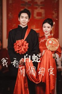 我和白蛇有个约定（65集）-免费短剧