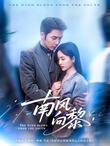 南风向黎（80集）张凝慈&王晨鹏-免费短剧