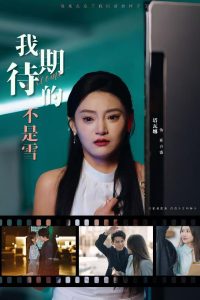 我期待的不是雪（30集）塔瓦娜-免费短剧