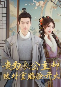 贵为长公主却被外室贴脸开大（32集）路文卓」-免费短剧
