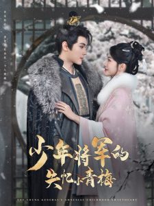 少年将军的失忆小青梅（100集）赵垣又＆牛湘鹭-免费短剧