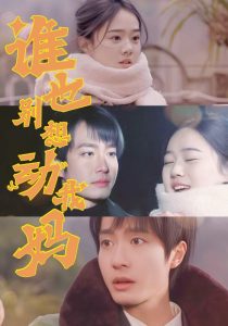 谁也别想动我妈（44集）冯晓宁-免费短剧