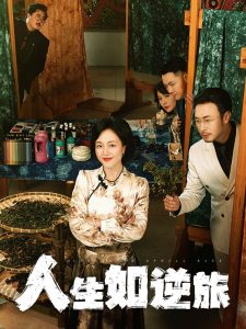 人生如逆旅（54集）罗雪琼-免费短剧