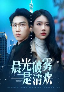 晨光破雾是清欢（91集）赵佳欣-免费短剧