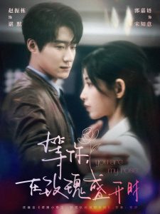 等你在玫瑰盛开时（80集）赵振栋&郭嘉语-免费短剧