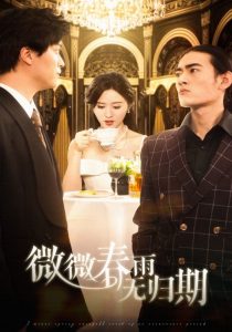 微微春雨无归期（65集）栩晨昱＆书雪漫-免费短剧