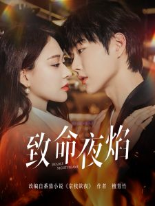 致命夜焰（80集）王轩&何适-免费短剧