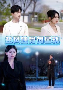 盐风蚀骨饲星轨（60集）王鹏-免费短剧