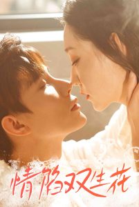 情陷双生花（30集）吴思橦&曹博尊-免费短剧