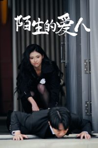 陌生的爱人（60集）骆虹宇-免费短剧