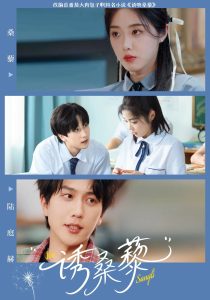 诱桑藜（83集）墨凝&宋宇博-免费短剧