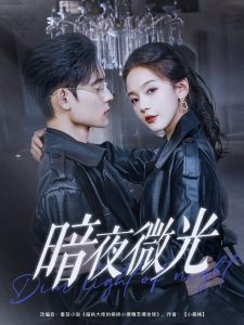 暗夜微光(86集)张力壬&徐波滴-免费短剧