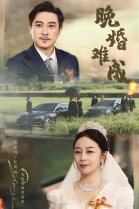 晚婚难成（60集）孔智盈&路思奇-免费短剧