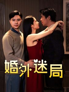 婚外迷局（28集）金丹-免费短剧