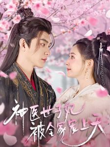 神医世子妃被全家宠上天（80集）王昱凯＆许丹-免费短剧