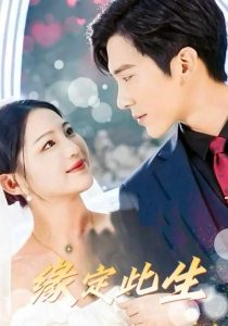 缘定此生（87集）崔秀子&冯思源-免费短剧
