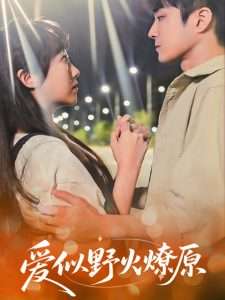 爱似野火燎原（47集）刘博文&景晓媚-免费短剧