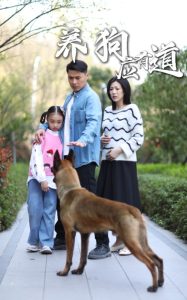 养狗应有道（60集）-免费短剧