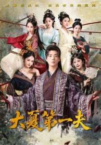 大夏第一夫(90集)胡冬晴&曲奇&李颂慈-免费短剧