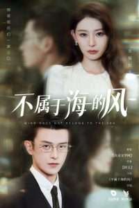 不属于海的风（40集）董炜&武伯言-免费短剧