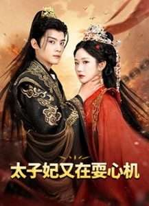 太子妃又在耍心机&人家才不是坏女人（80集）张晋宜&谢鸿鑫-免费短剧