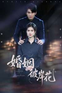 婚姻彼岸花（63集）伍月&李思杨-免费短剧