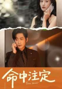 命中注定（33集）贾博雅&高杨-免费短剧