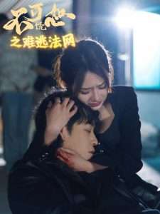 不可饶恕之难逃法网（20集）杨洪-免费短剧