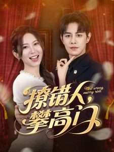 撩错人攀高门（73集）王朝阳&桉淇-免费短剧