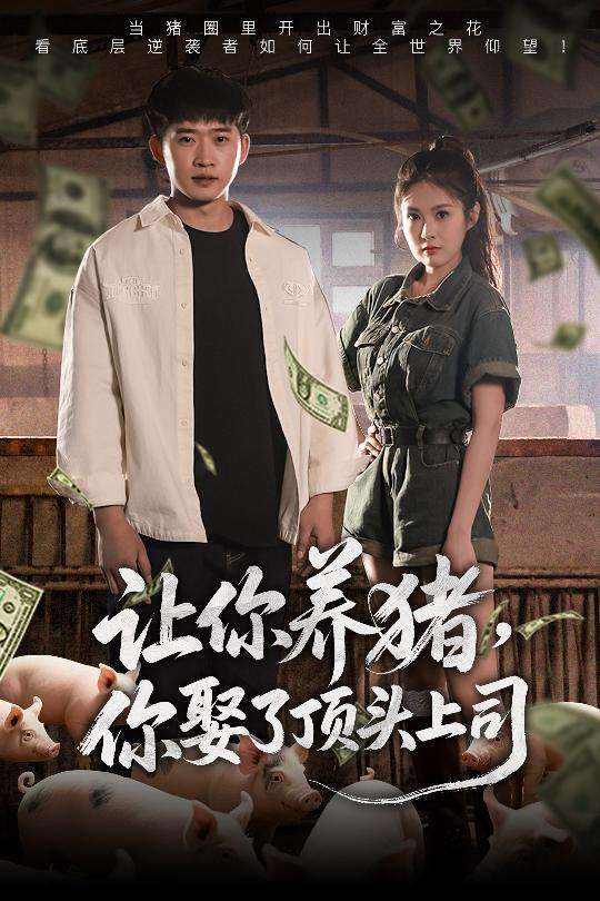 让你养猪,你娶了顶头上司(70集)邓威&陈酉昔-免费短剧