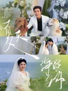 夏天,海浪与你(76集)姚冠宇&徐思祁-免费短剧