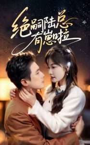 绝嗣陆总有崽啦（60集）岑明&朱馨玉-免费短剧