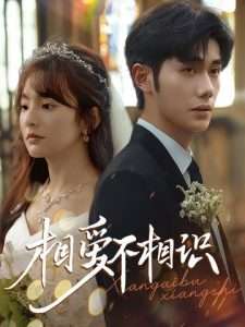 相爱不相识（67集）李铂一&王子怡-免费短剧