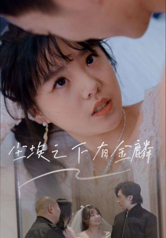 尘埃之下有金鳞（60集）汪晓彤-免费短剧